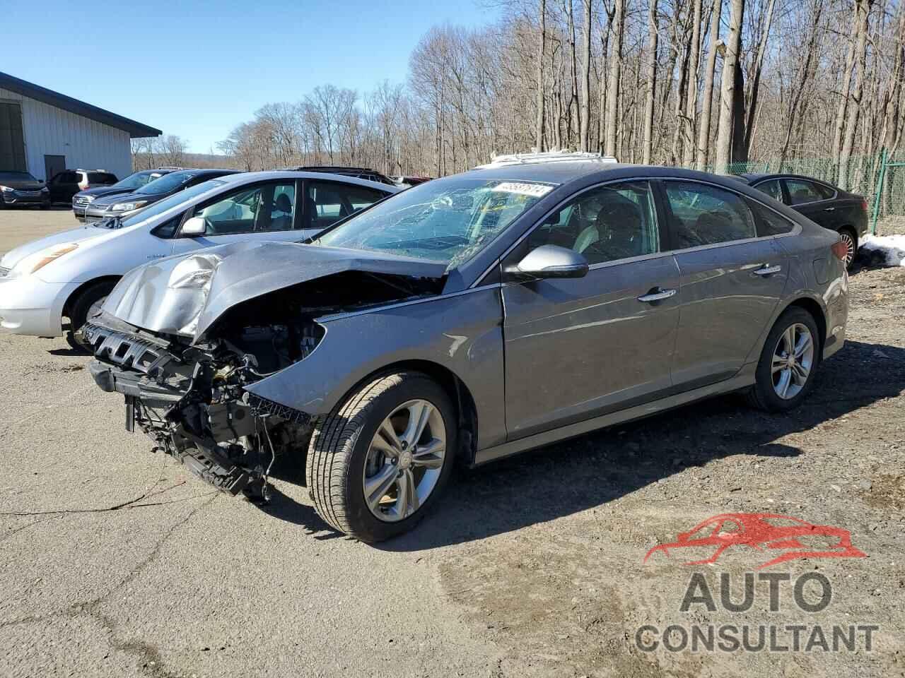 HYUNDAI SONATA 2019 - 5NPE34AF8KH788247