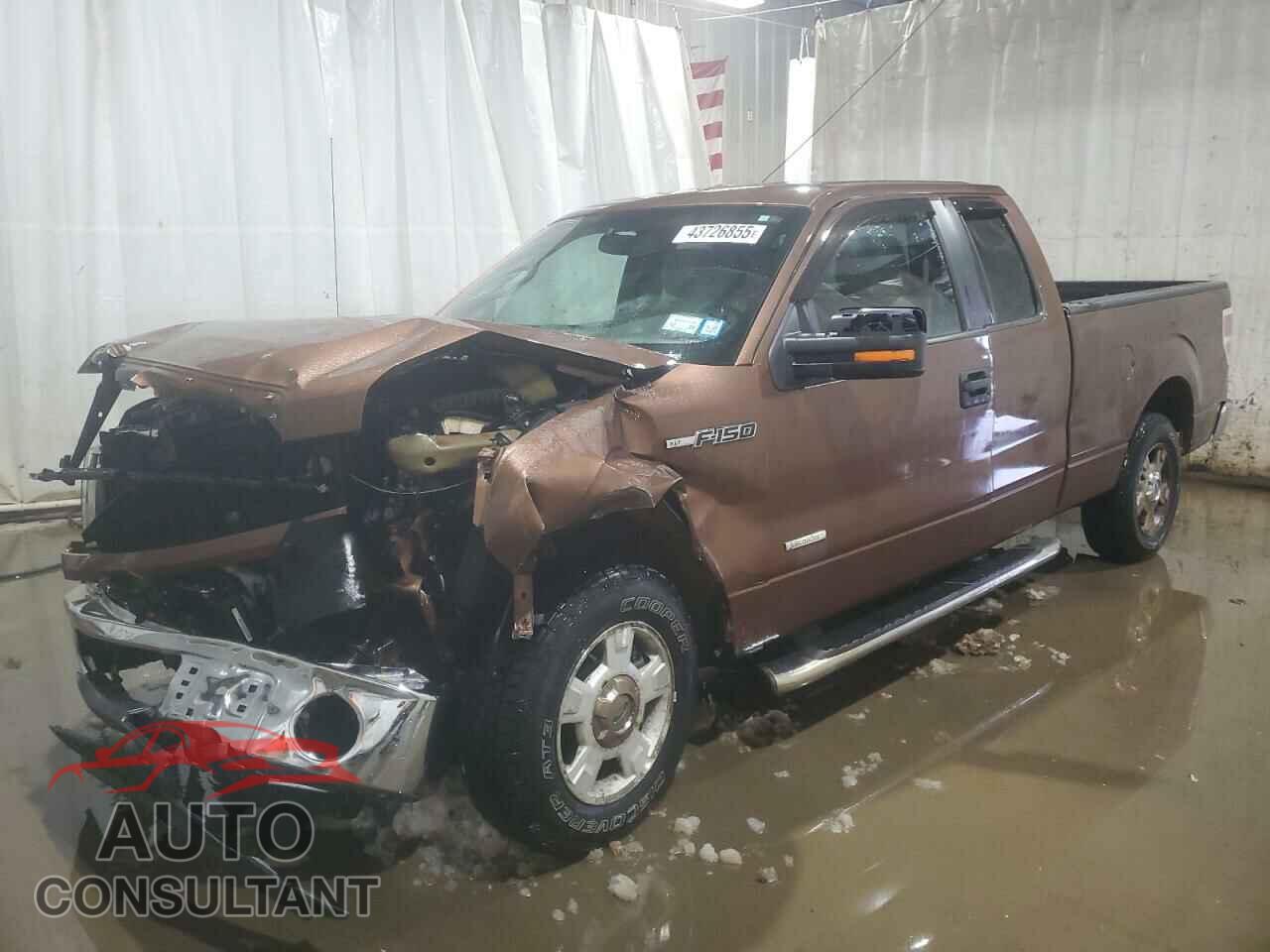 FORD F-150 2011 - 1FTFX1CT4BFC82869