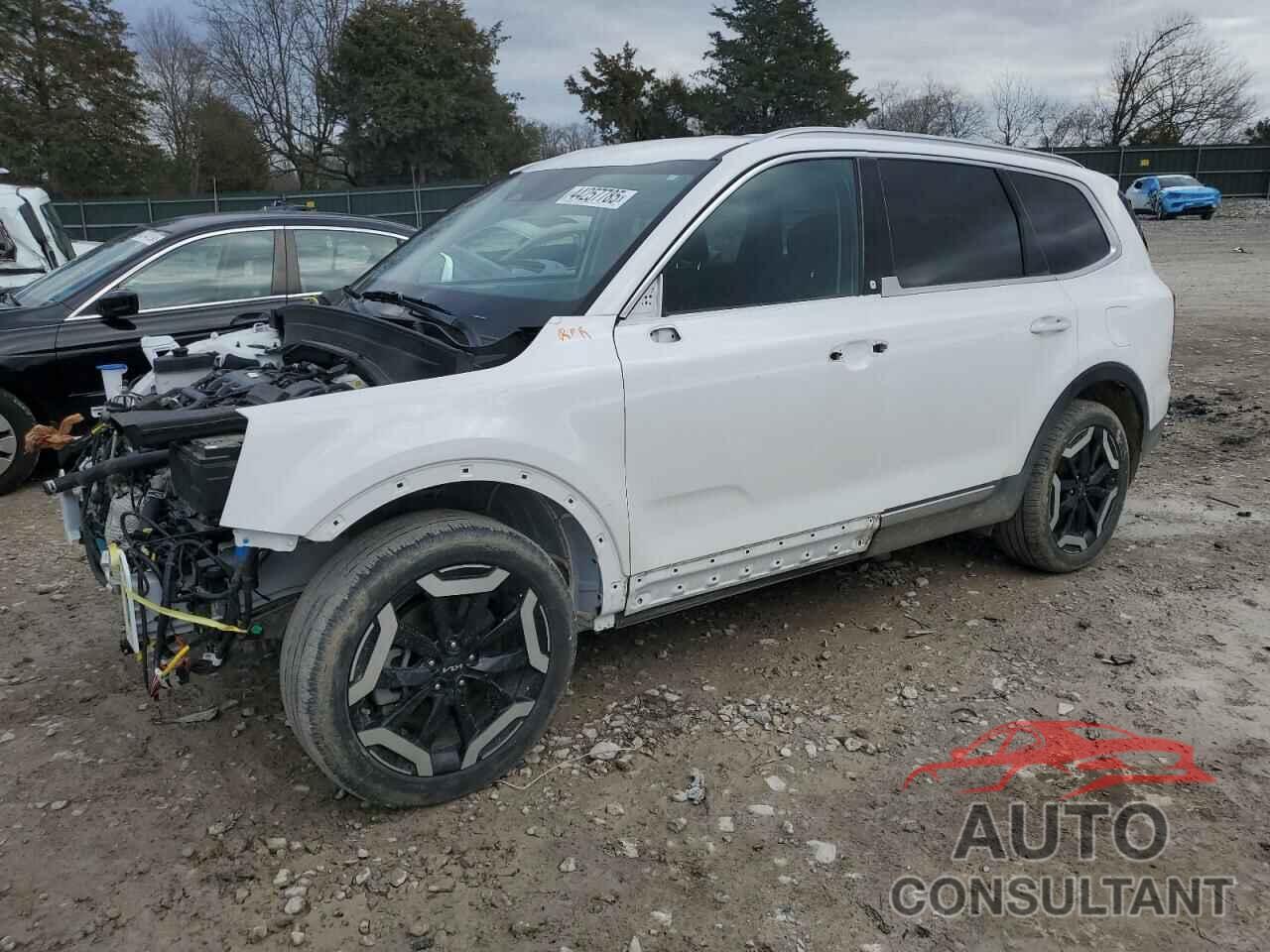 KIA TELLURIDE 2023 - 5XYP6DGC9PG401751