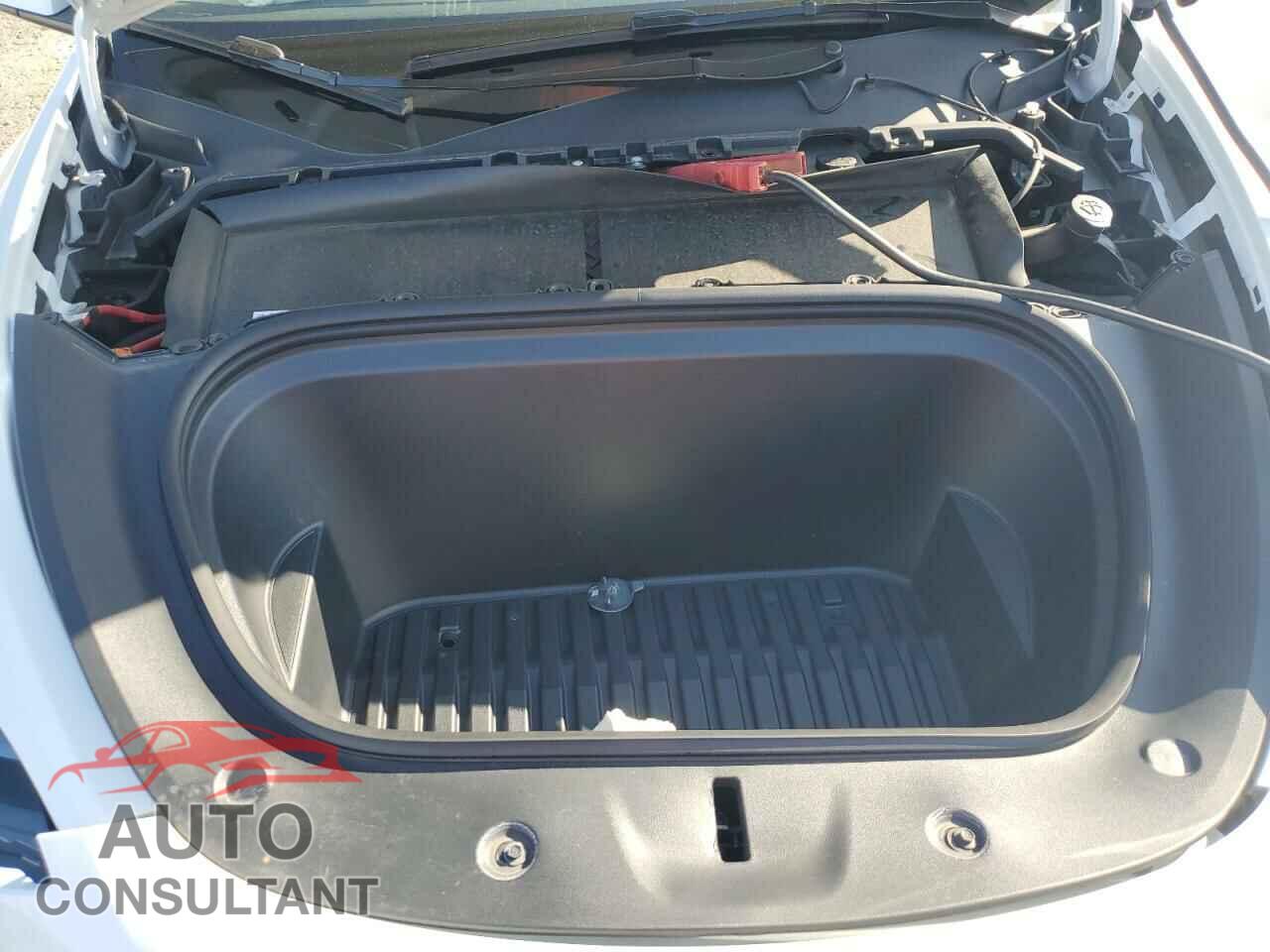 TESLA MODEL Y 2024 - 7SAYGDED1RF212974