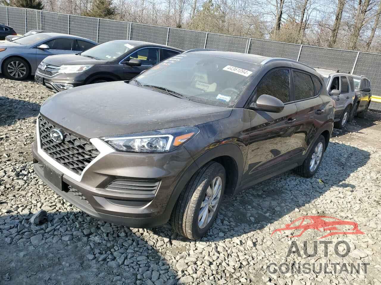 HYUNDAI TUCSON 2019 - KM8J33A43KU032432