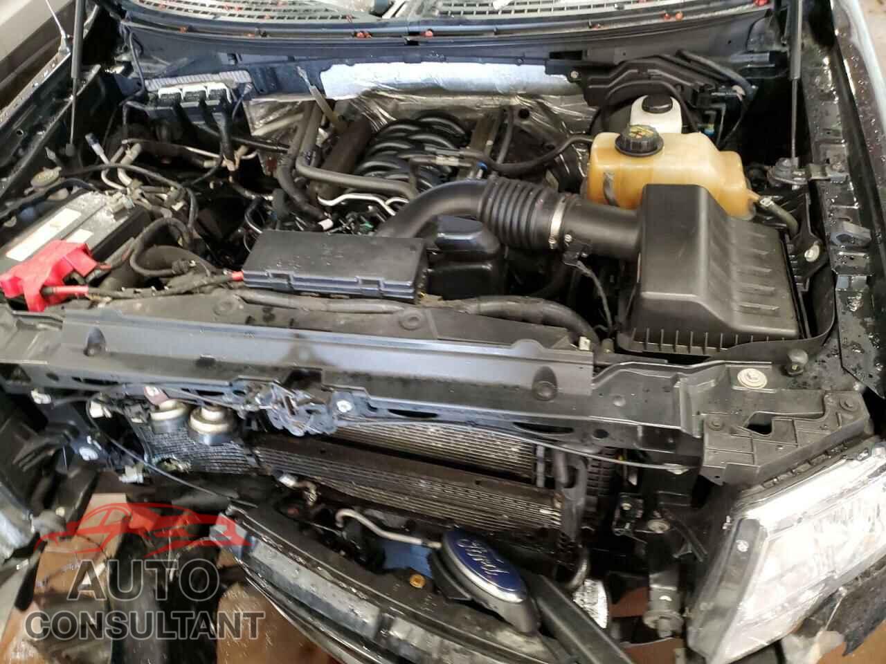 FORD F-150 2013 - 1FTFX1EF4DFB96617