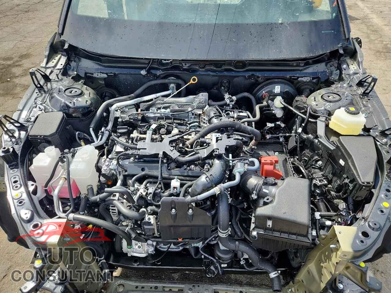 LEXUS UNKNOWN 2026 - 5TDAAAB66TS056003