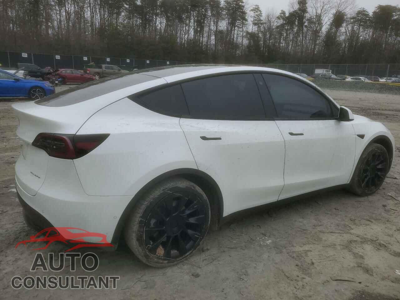 TESLA MODEL Y 2022 - 7SAYGAEE6NF384404