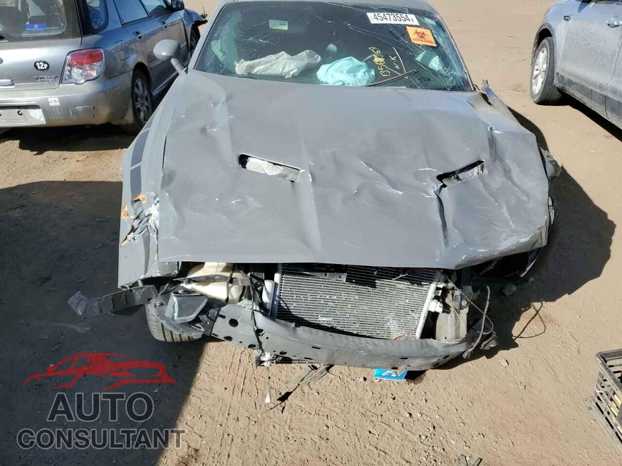 DODGE CHALLENGER 2019 - 2C3CDZAG7KH701252