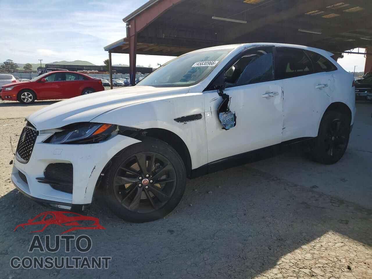 JAGUAR F-PACE 2023 - SADCJ2EXXPA705053