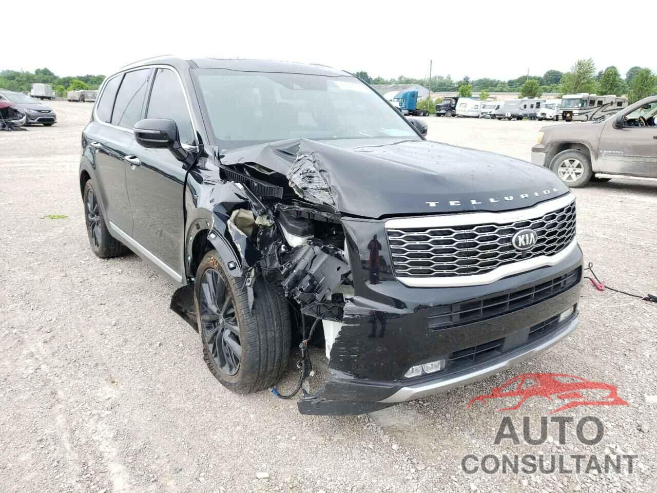 KIA TELLURIDE 2021 - 5XYP5DHC0MG113744