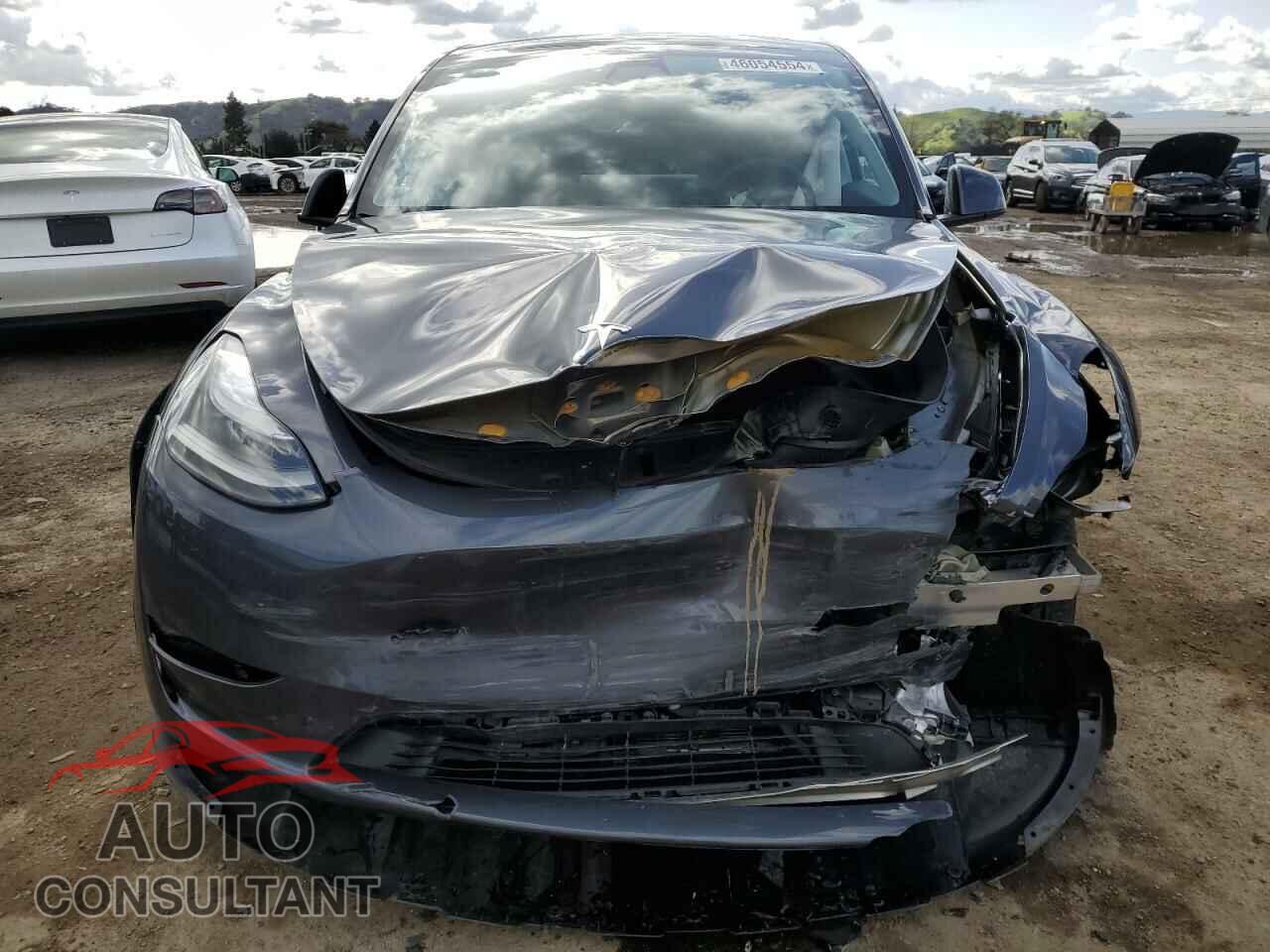 TESLA MODEL Y 2023 - 7SAYGDEEXPF715912