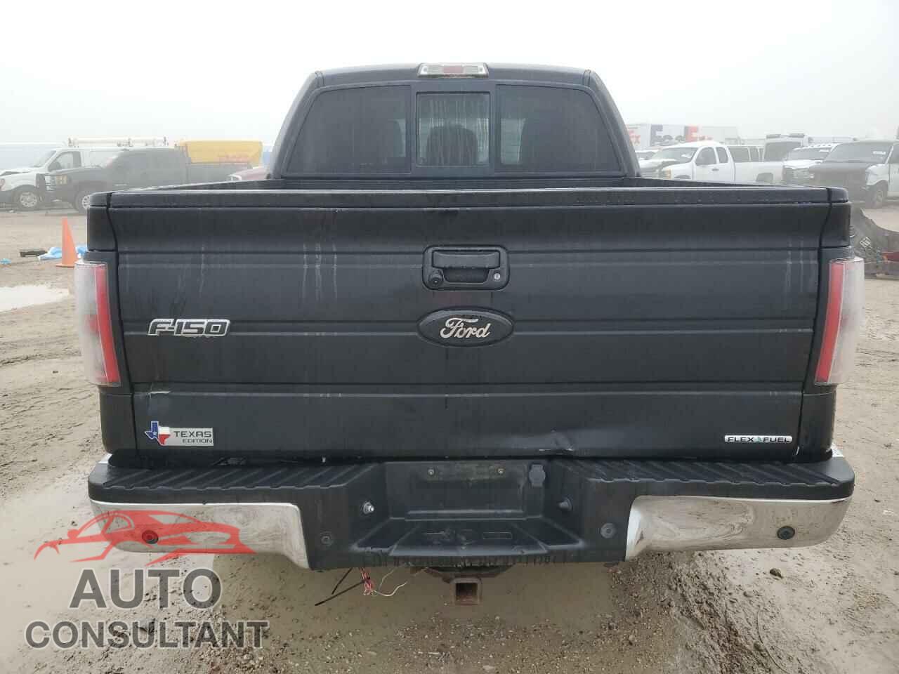 FORD F-150 2012 - 1FTFW1CF1CKE31499