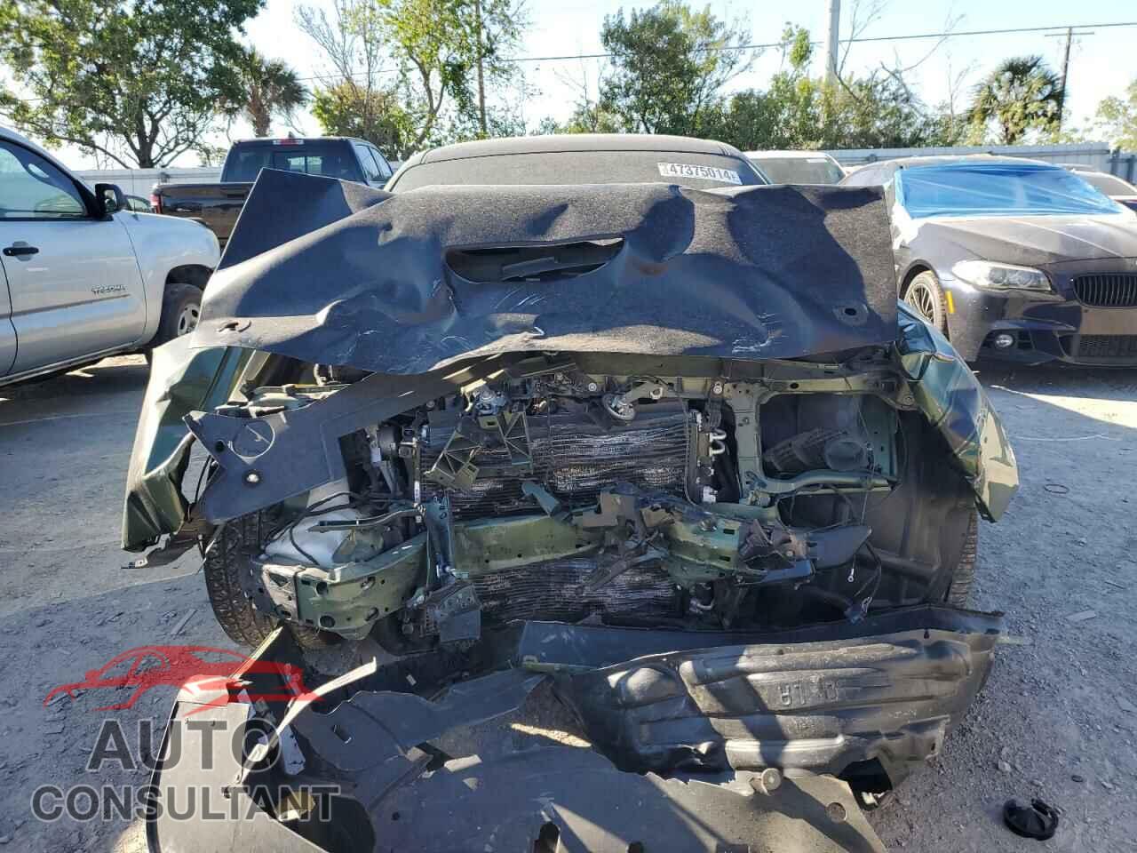 DODGE CHALLENGER 2019 - 2C3CDZFJ2KH642390