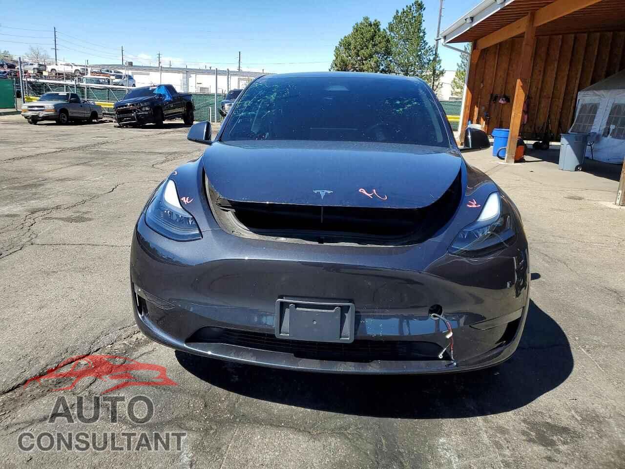 TESLA MODEL Y 2024 - 7SAYGDED3RF202981