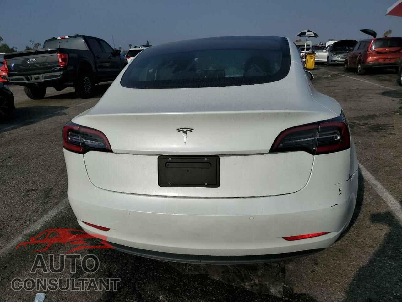 TESLA MODEL 3 2019 - 5YJ3E1EA9KF508056