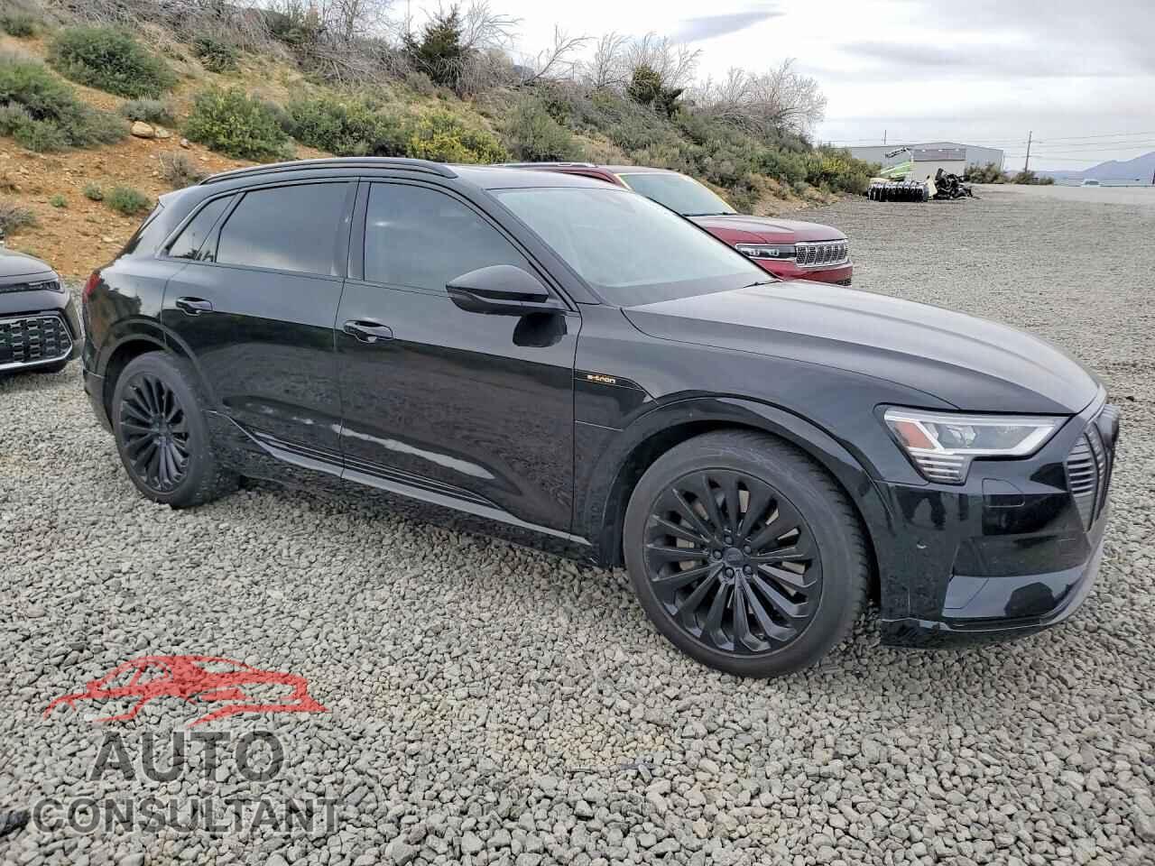AUDI E-TRON 2019 - WA1VAAGE4KB009196
