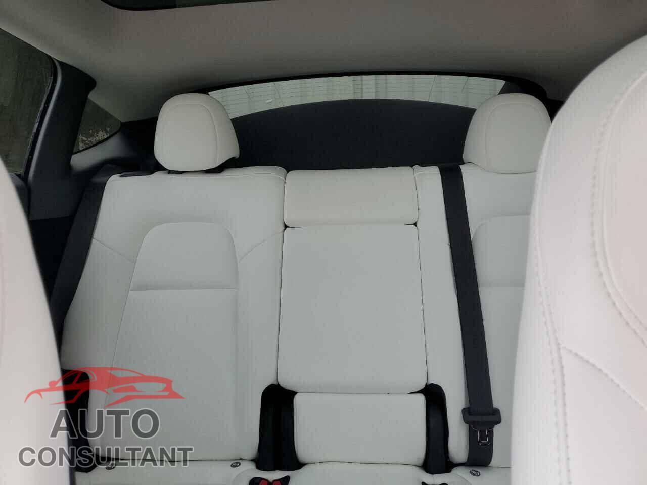 TESLA MODEL Y 2023 - 7SAYGDED1PF913589