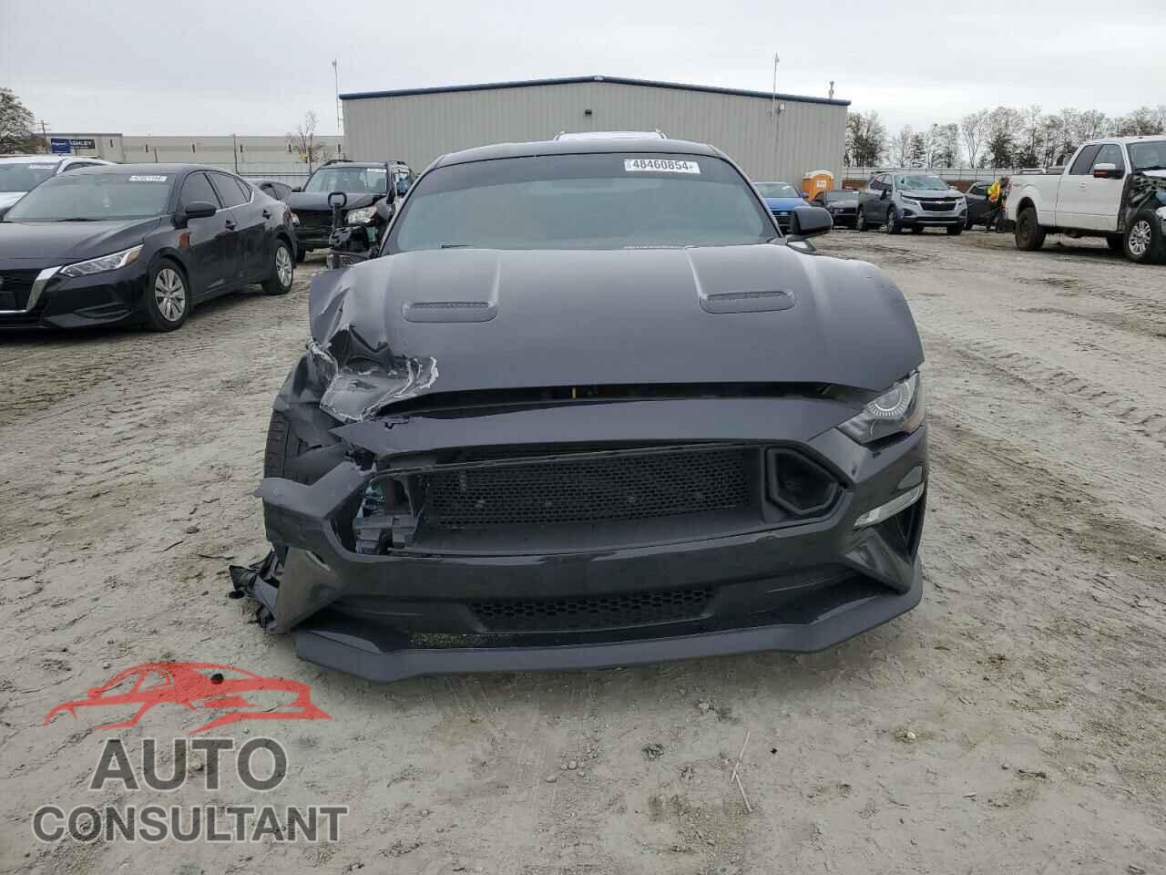 FORD MUSTANG 2019 - 1FA6P8CF8K5173345