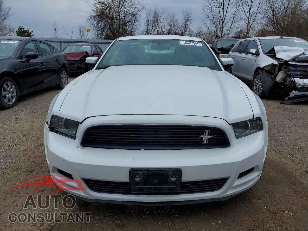 FORD MUSTANG 2014 - 1ZVBP8AM8E5323384