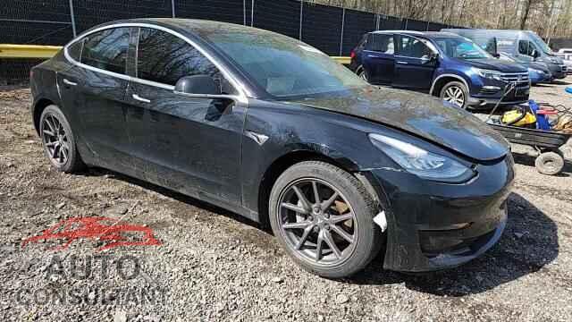 TESLA MODEL 3 2019 - 5YJ3E1EA9KF301702