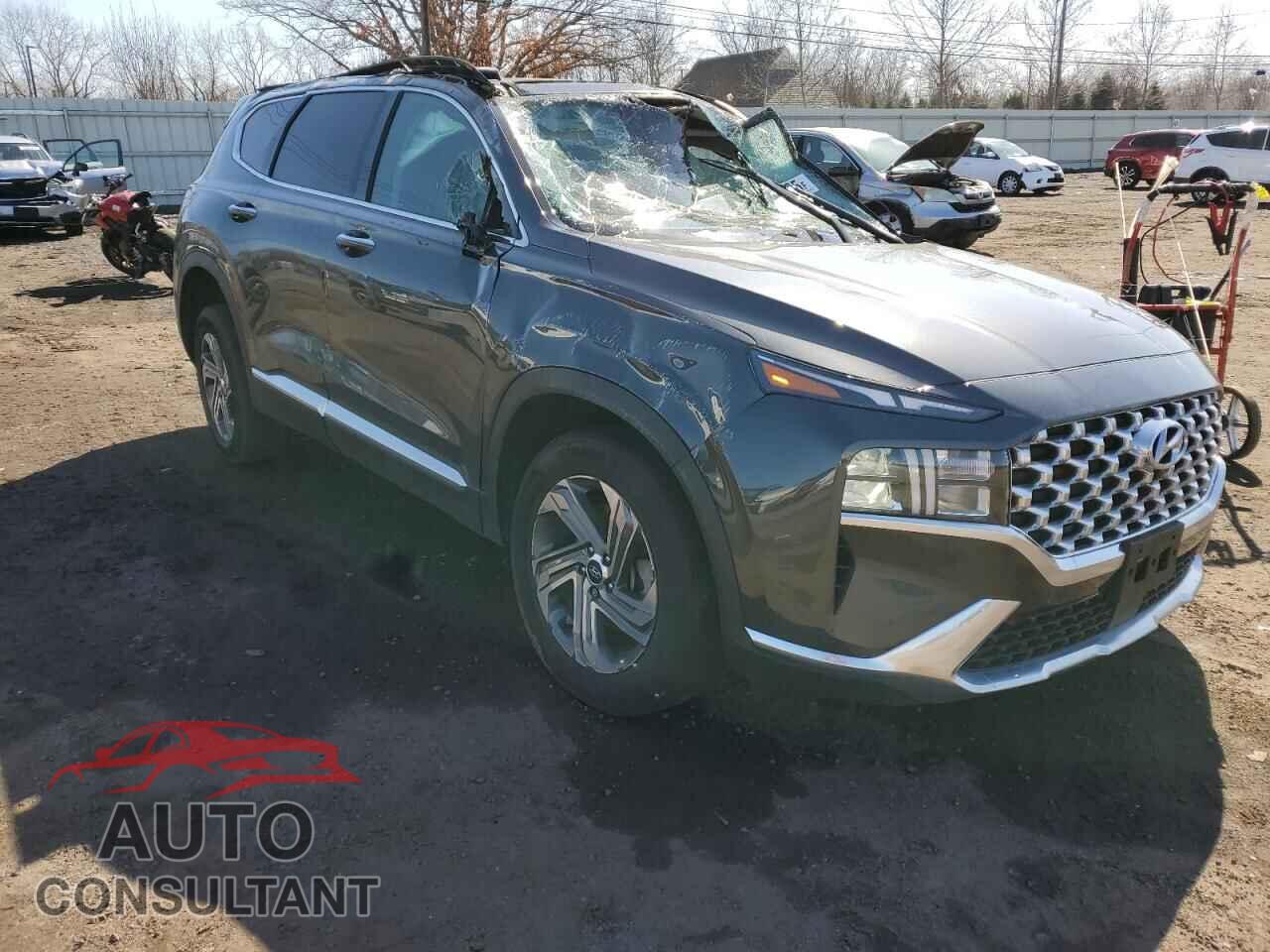 HYUNDAI SANTA FE 2023 - 5NMS3DAJ2PH599105