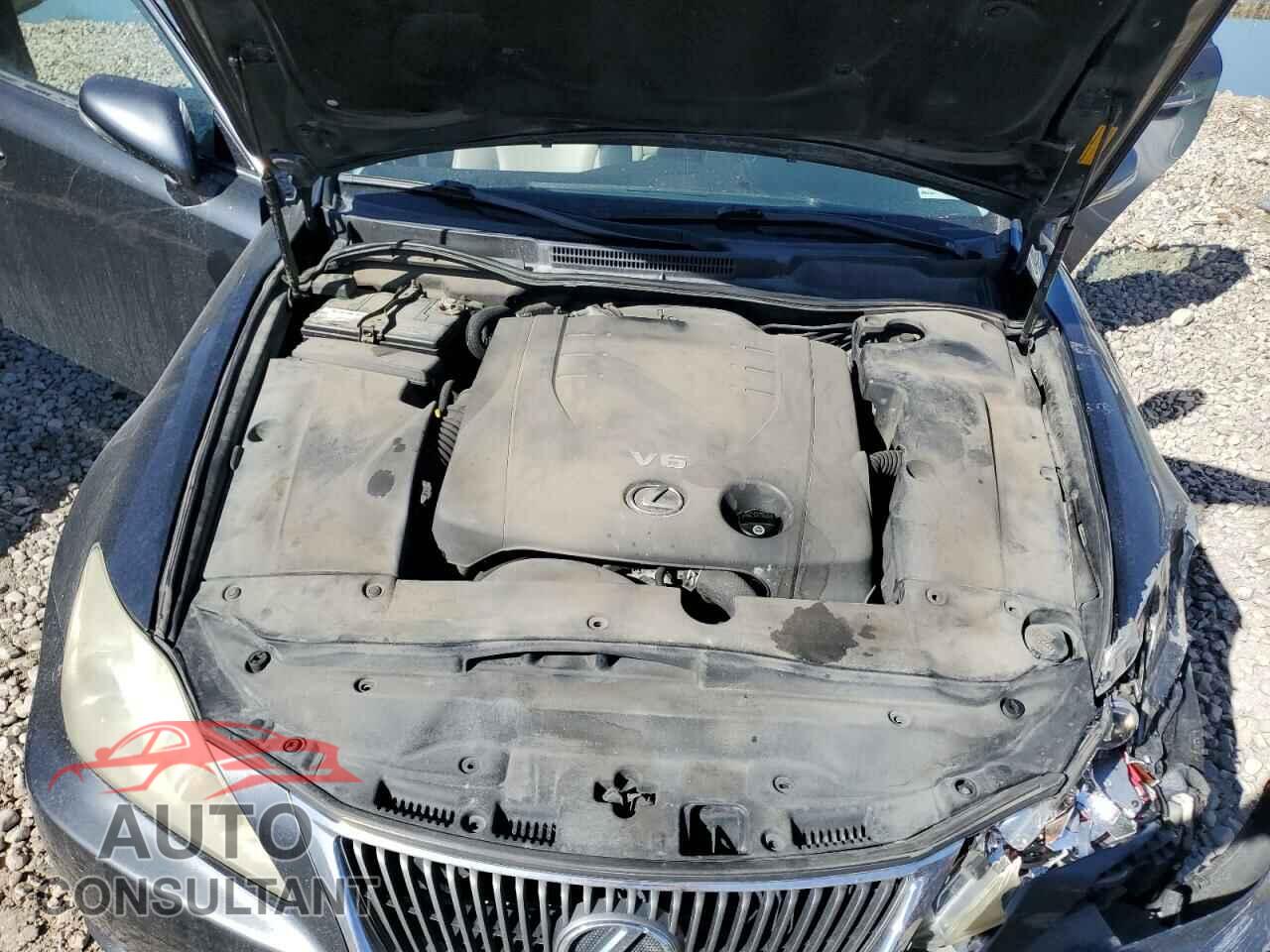 LEXUS IS 2010 - JTHCF5C22A5044512