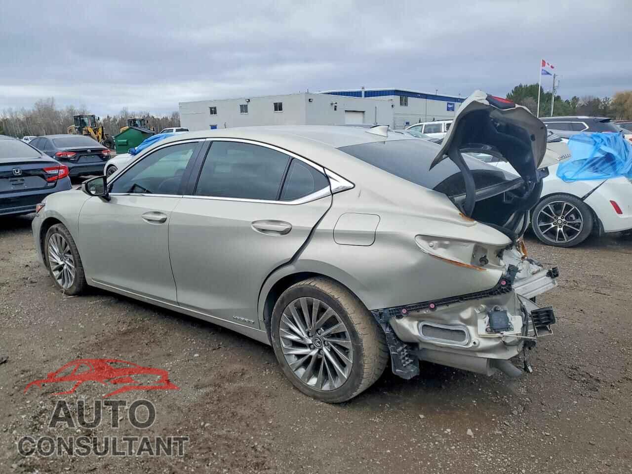 LEXUS ES300 2019 - JTHB21B11K2012033
