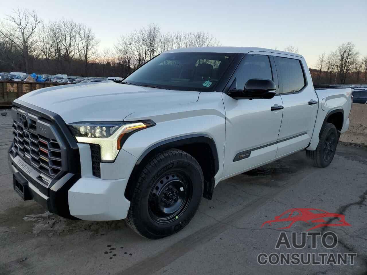 TOYOTA TUNDRA 2024 - 5TFMA5DB4RX229874