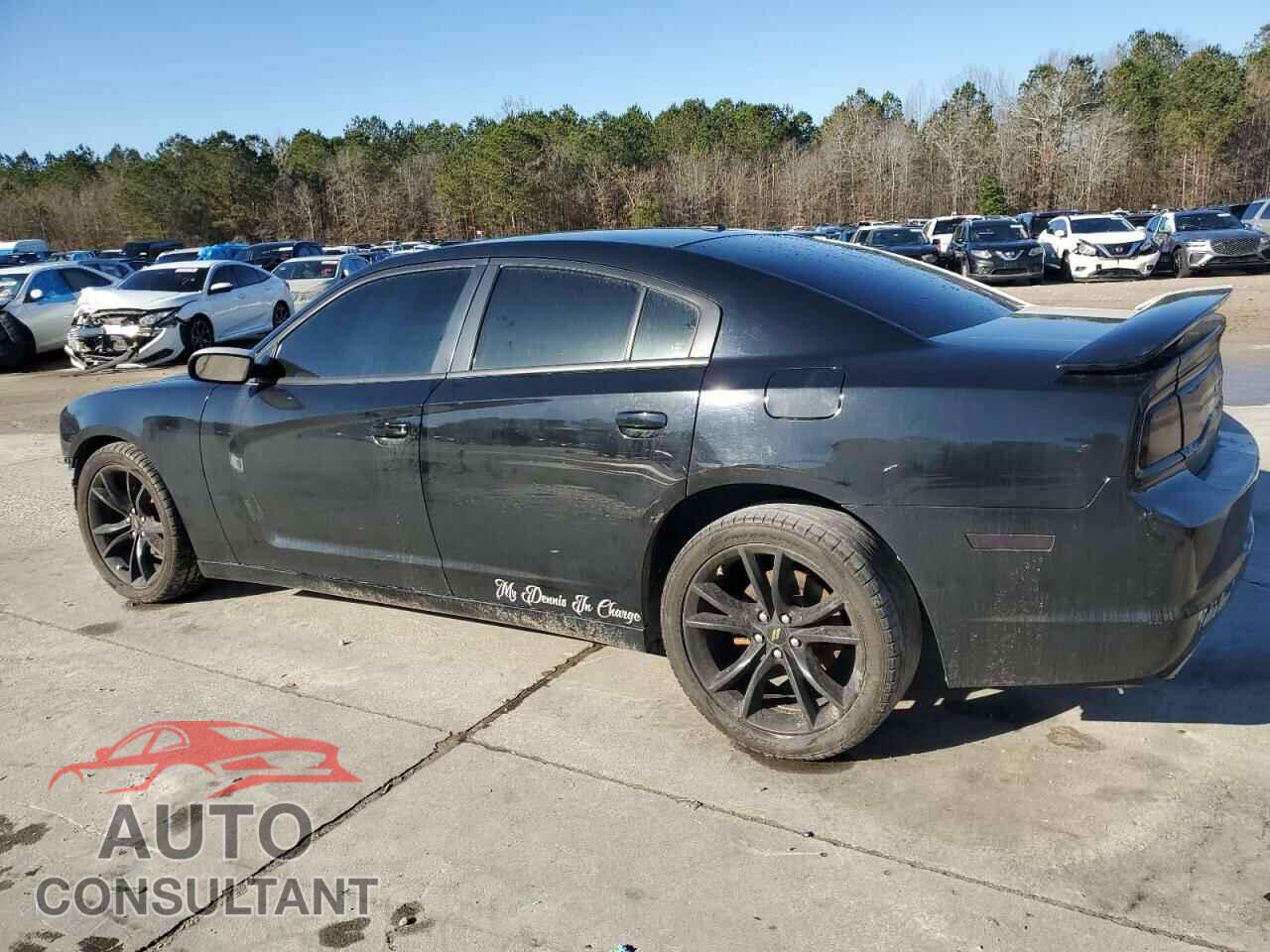 DODGE CHARGER 2014 - 2C3CDXBGXEH360078