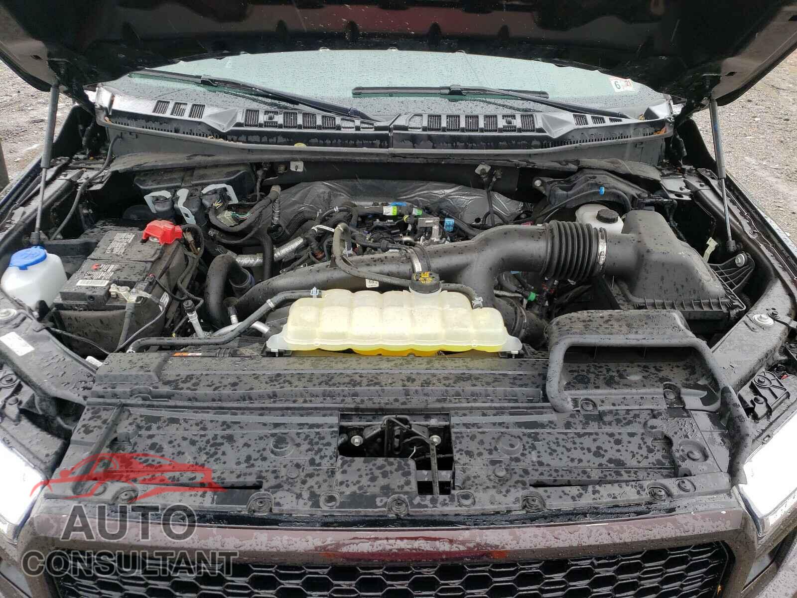FORD F150 2019 - 1FTEW1EP3KFB76296