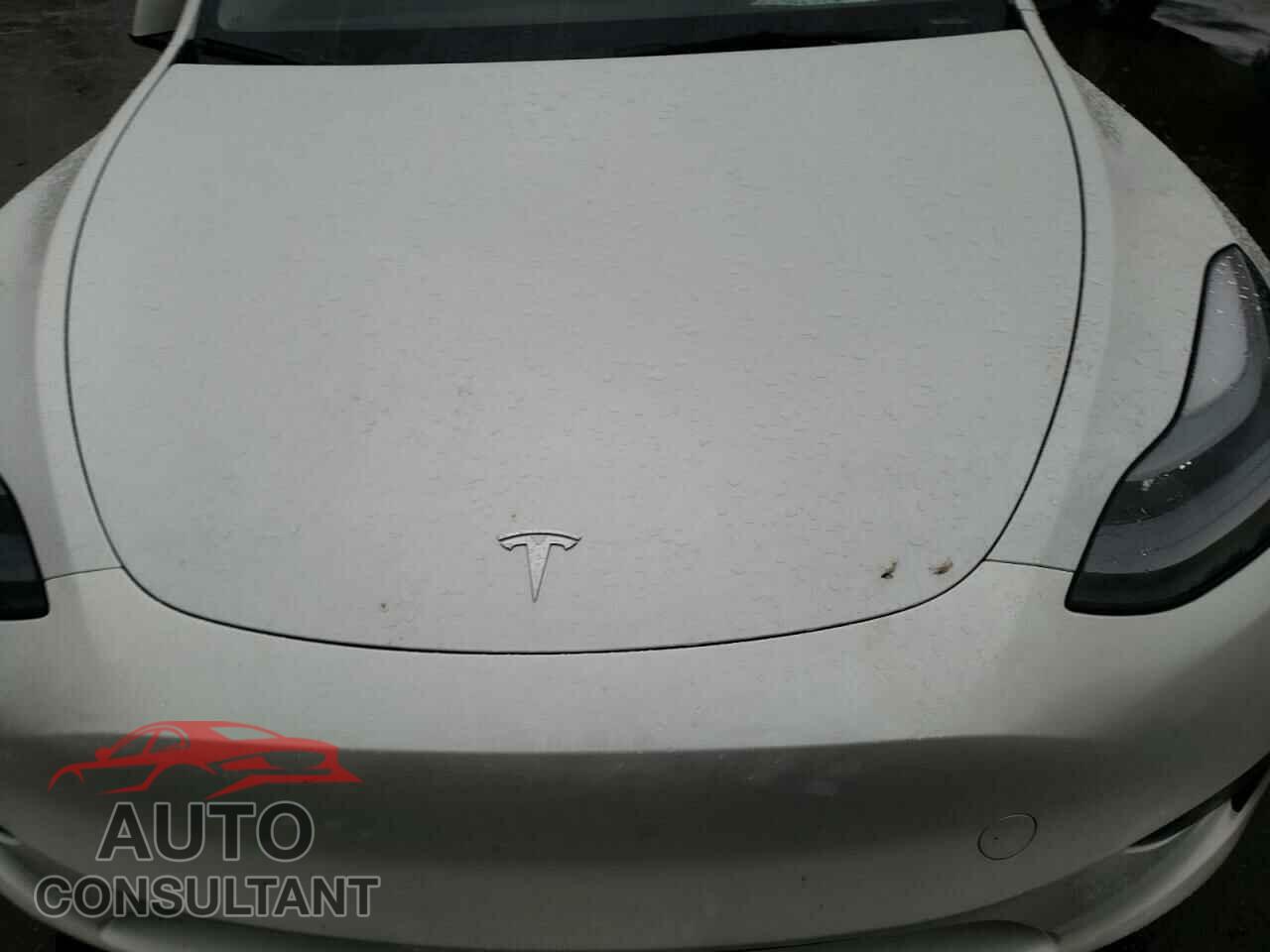 TESLA MODEL Y 2024 - 7SAYGDEE8RF193395