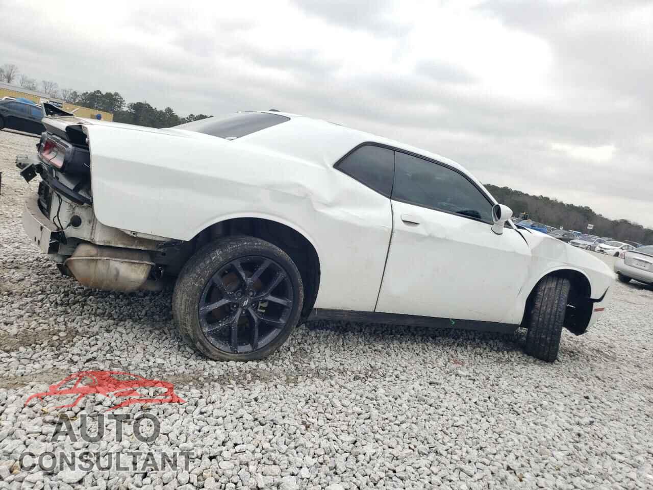 DODGE CHALLENGER 2019 - 2C3CDZAG2KH669519