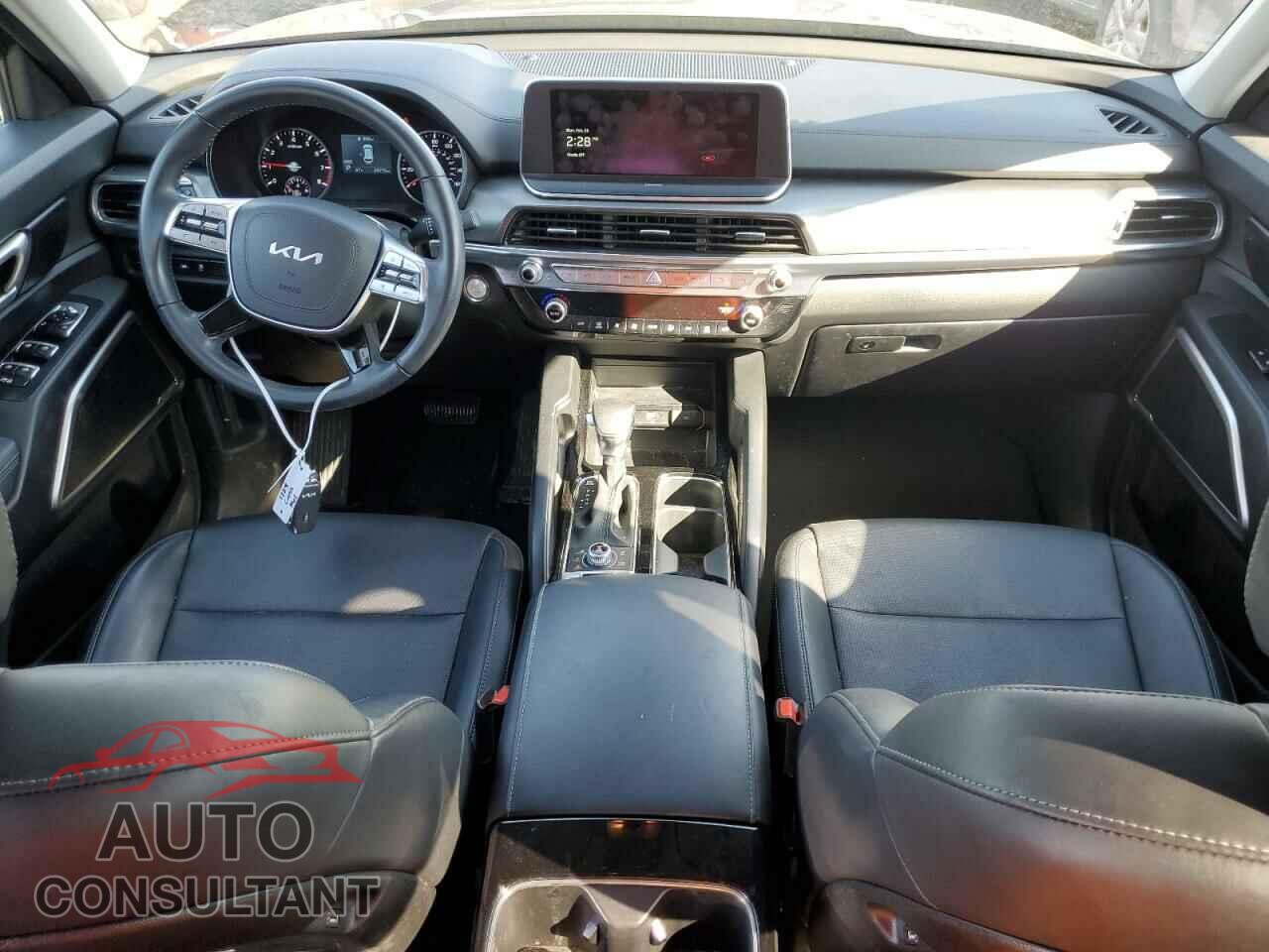 KIA TELLURIDE 2022 - 5XYP2DHC3NG296633