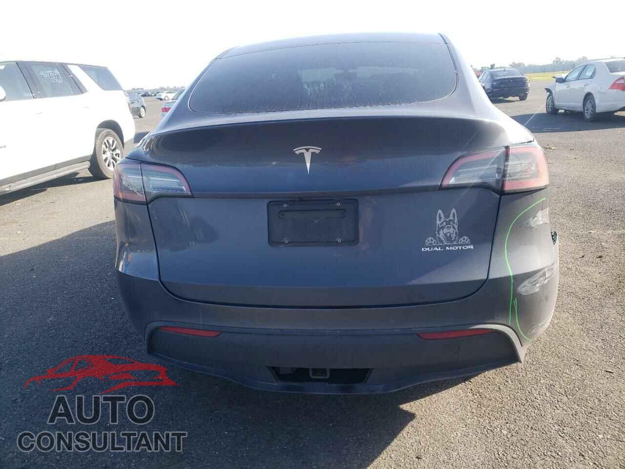 TESLA MODEL Y 2022 - 7SAYGDEE2NF384840