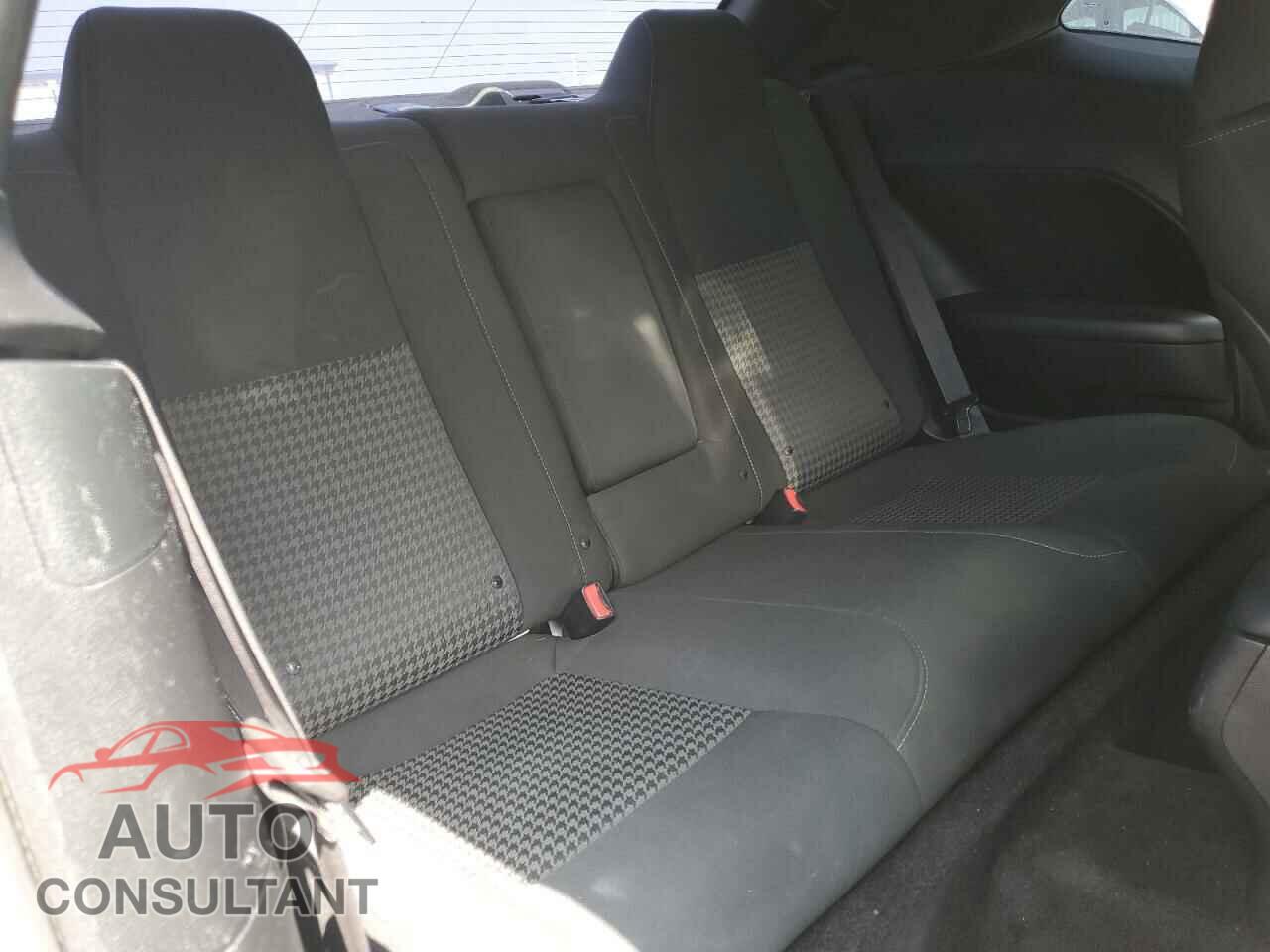 DODGE CHALLENGER 2019 - 2C3CDZJG3KH541385