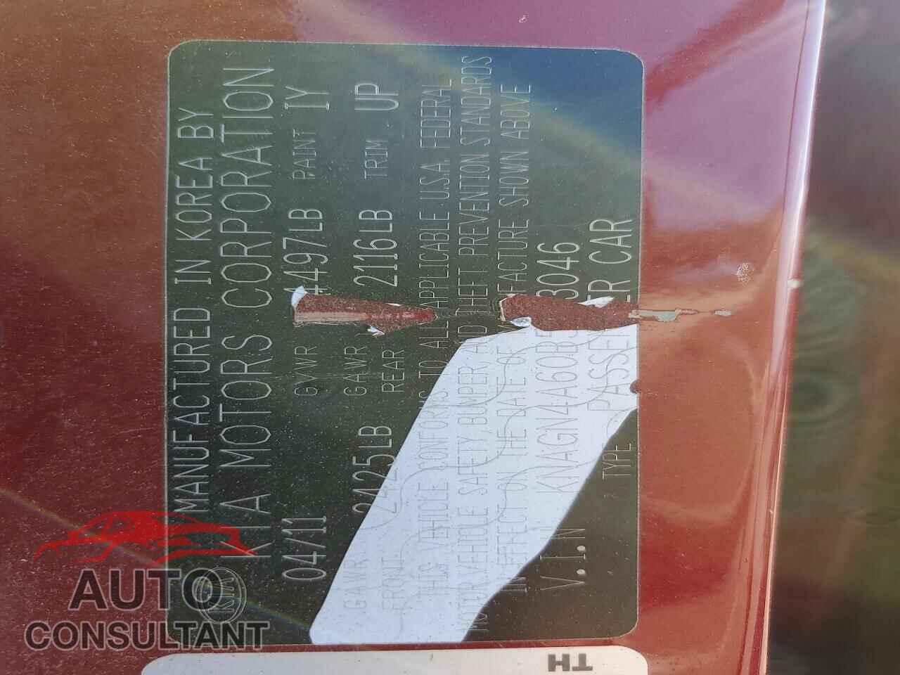 KIA OPTIMA 2011 - KNAGN4A60B5133046
