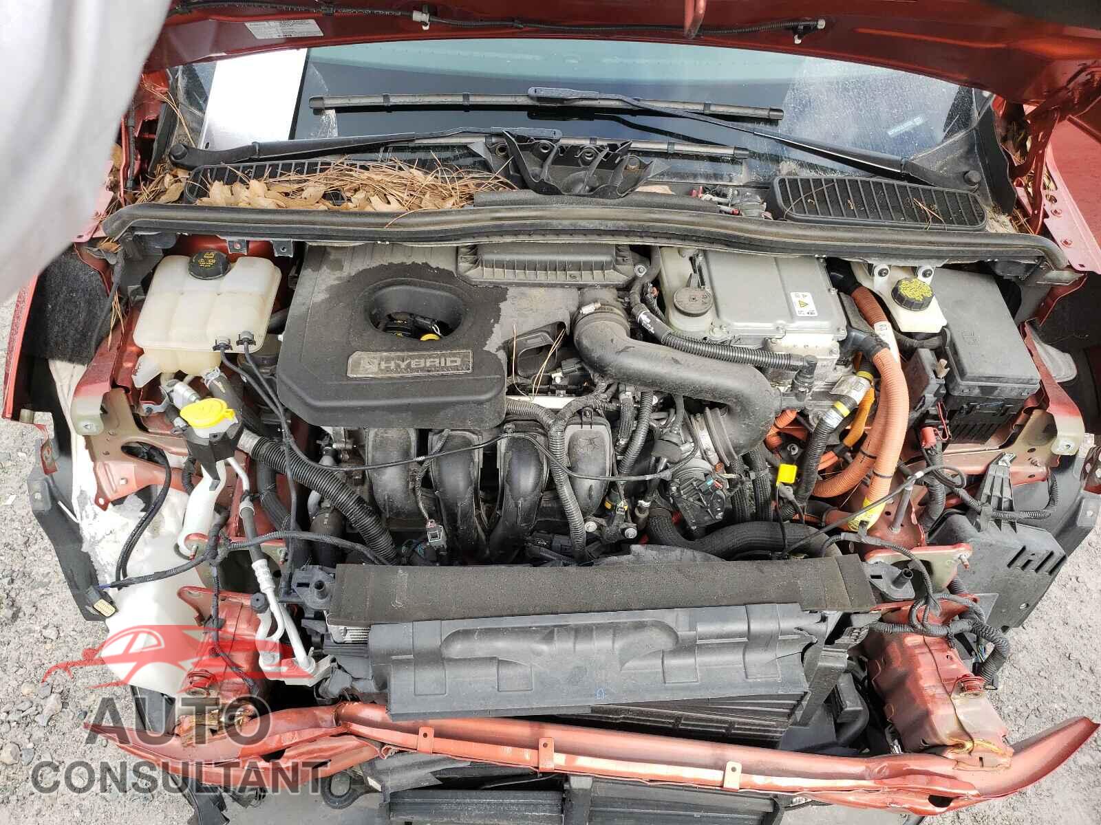 FORD CMAX 2018 - 1FADP5AUXJL103525