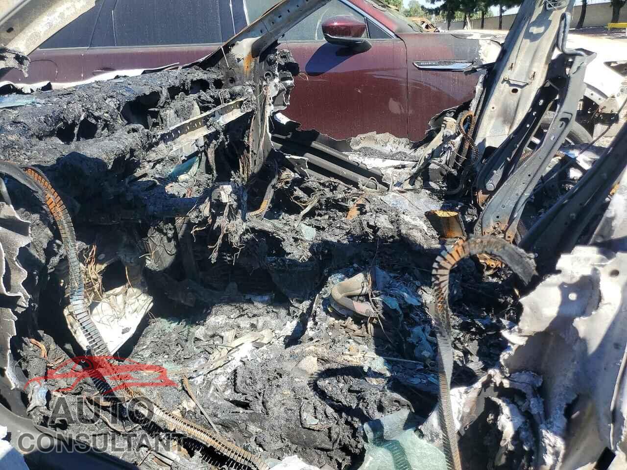 TESLA MODEL Y 2026 - 7SAYGDEDXTF522340
