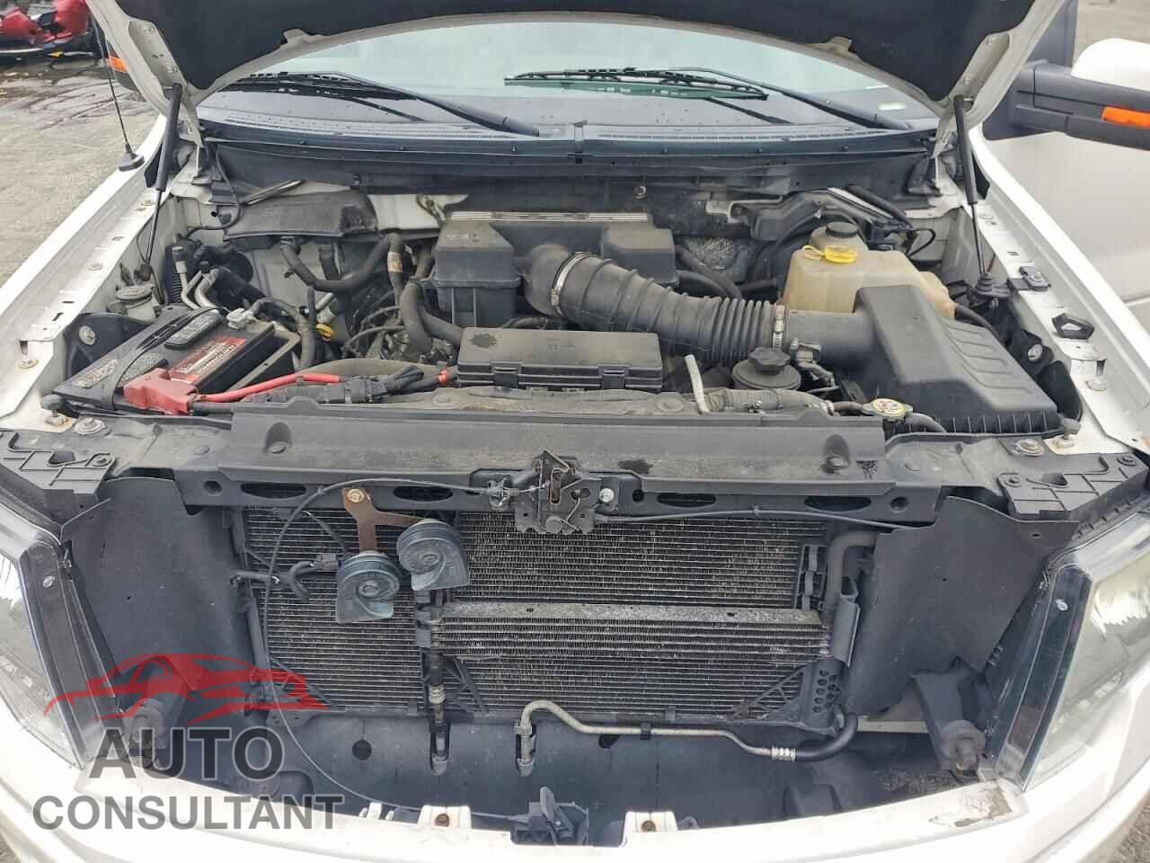 FORD F150 2011 - 1FTFW1E66BFA63793