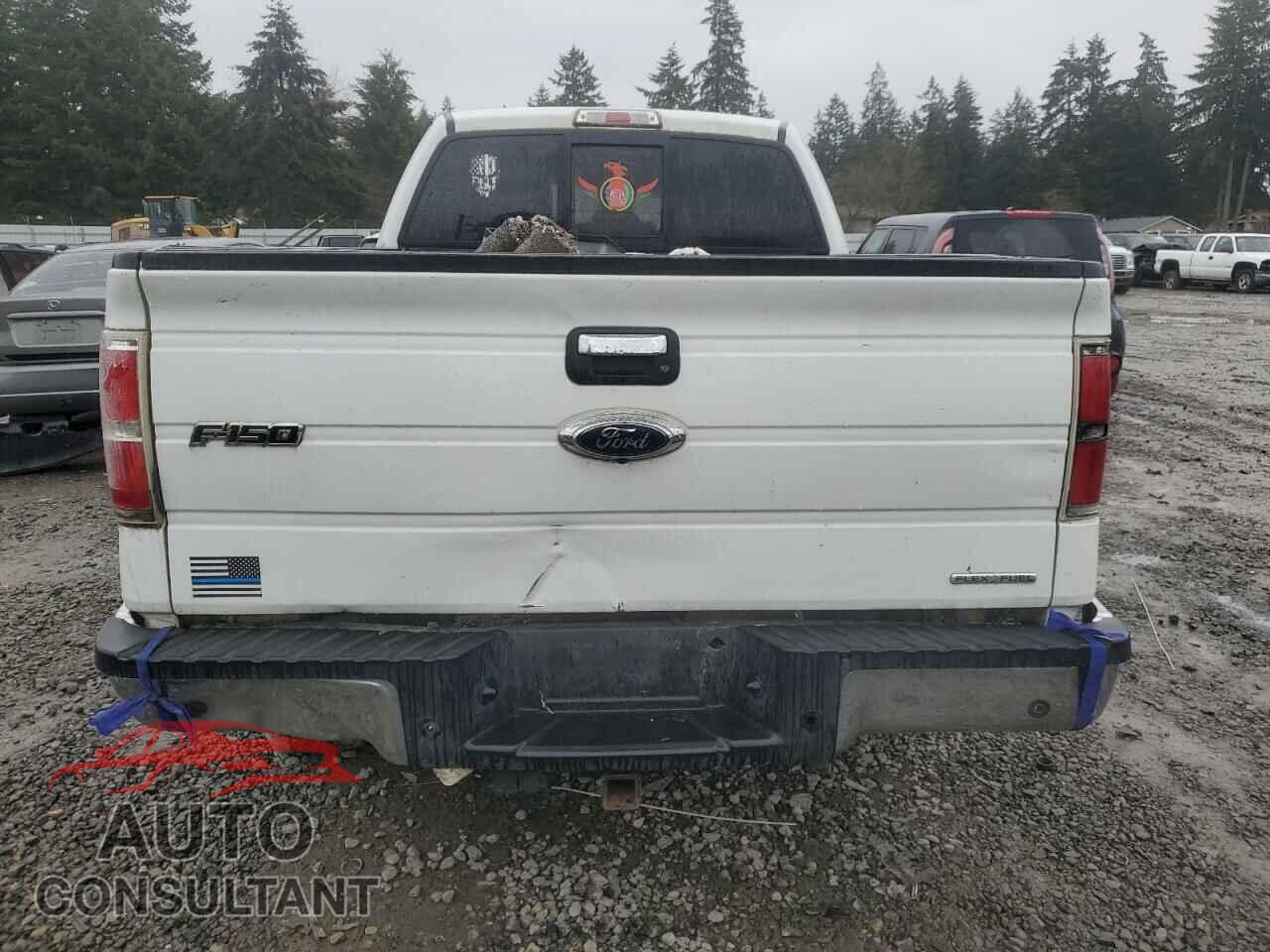 FORD F-150 2013 - 1FTFX1EF9DFA66624