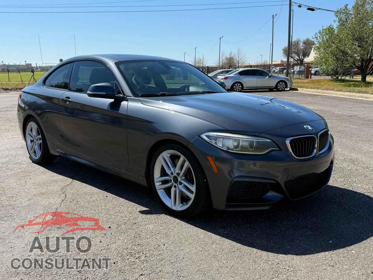 BMW 2 SERIES 2014 - WBA1F5C51EV255559