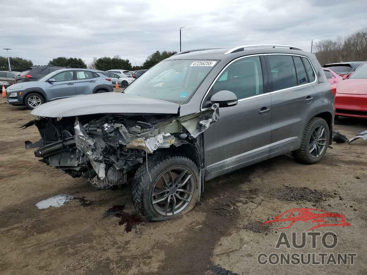 VOLKSWAGEN TIGUAN 2016 - WVGBV7AXXGW584067