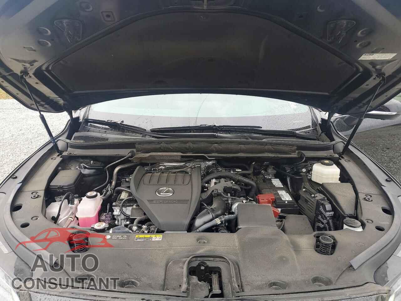 LEXUS RX350 2023 - 2T2BAMCA4PC017428