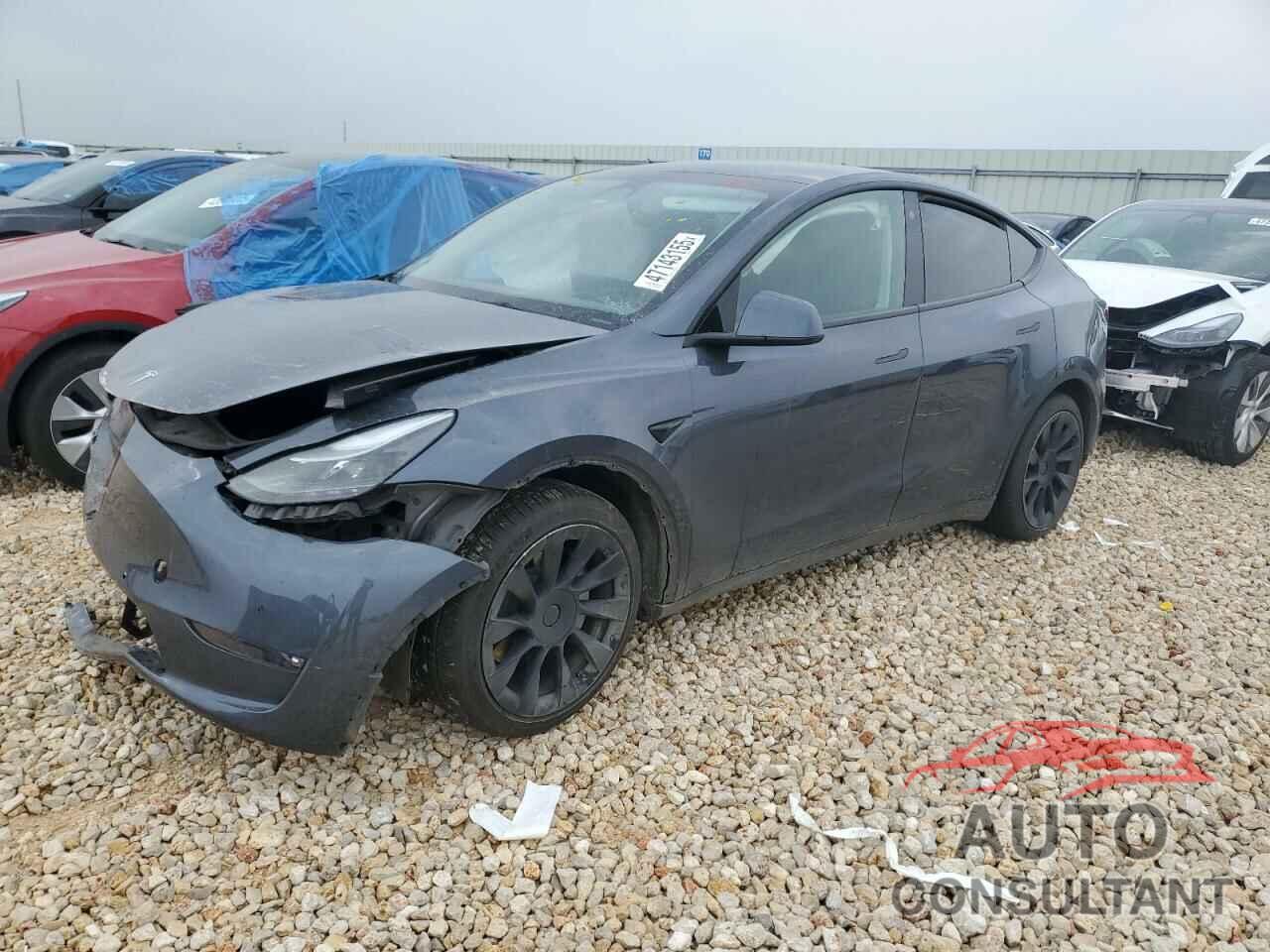 TESLA MODEL Y 2022 - 7SAYGAEE4NF543503