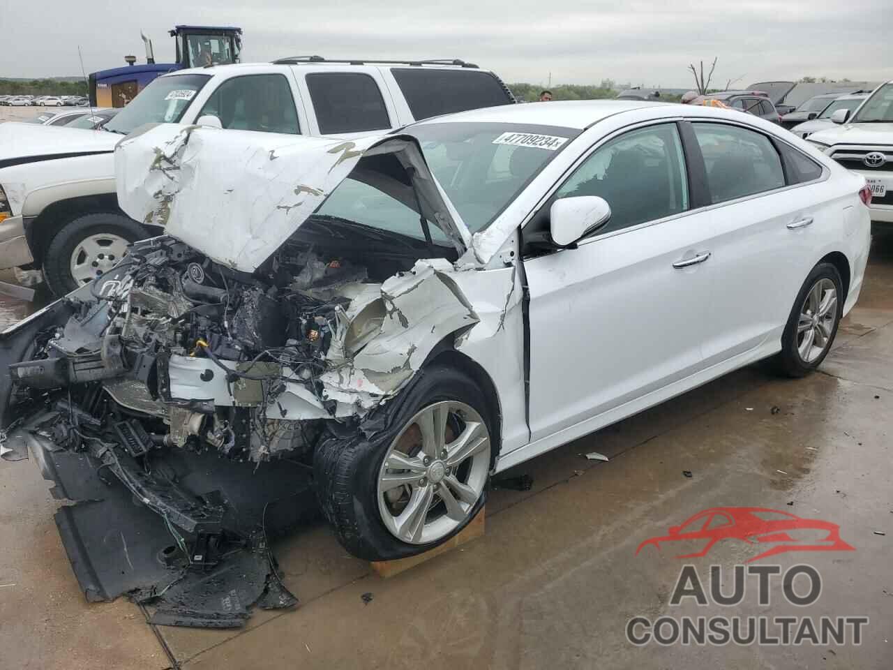 HYUNDAI SONATA 2019 - 5NPE34AF4KH786124