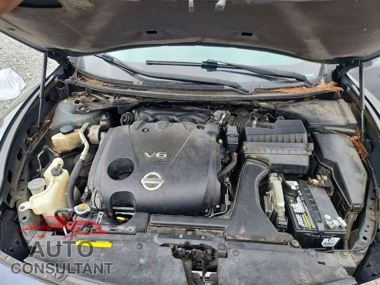 NISSAN MAXIMA 2009 - 1N4AA51E29C811888