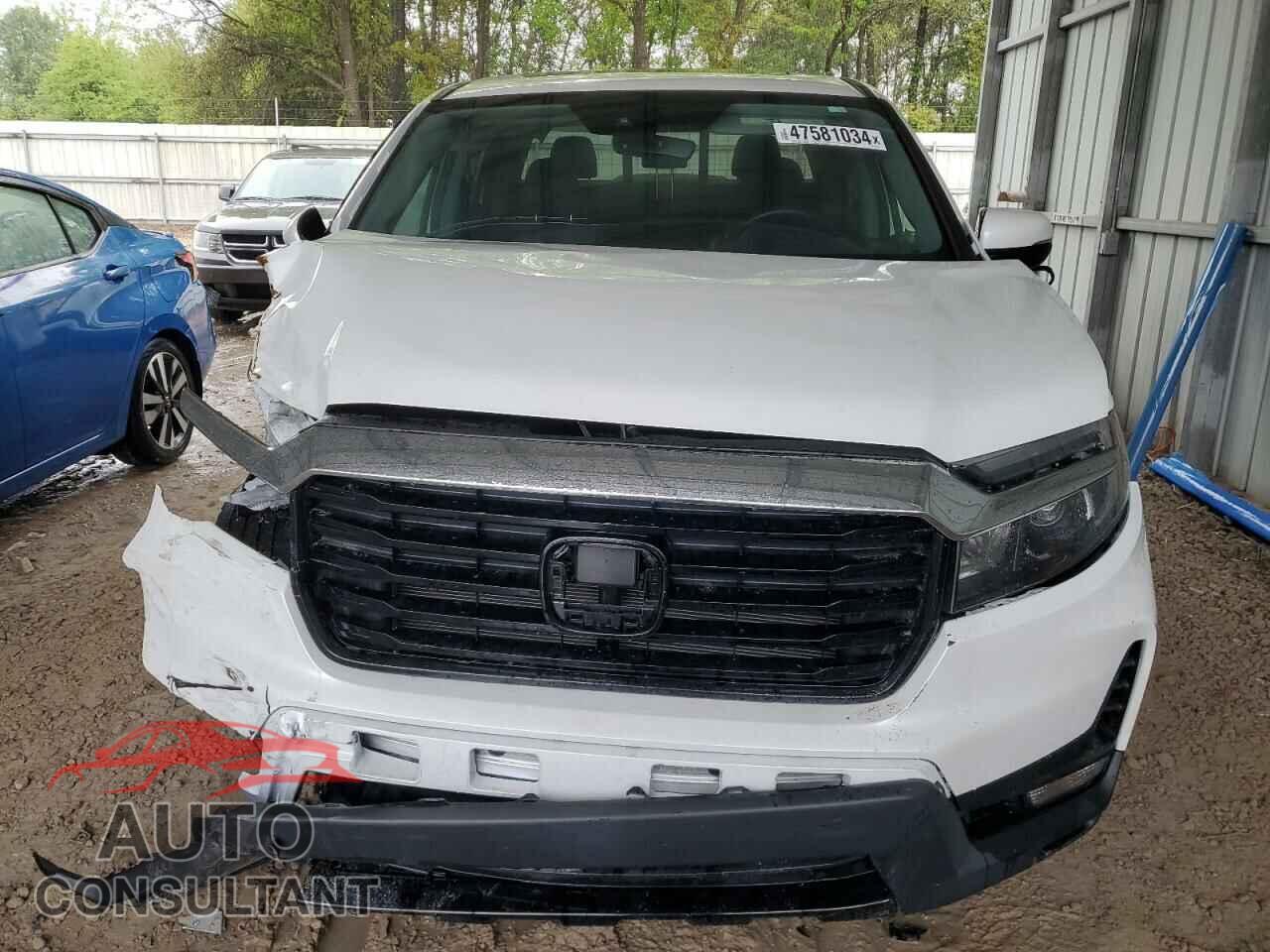 HONDA RIDGELINE 2022 - 5FPYK3F79NB034568