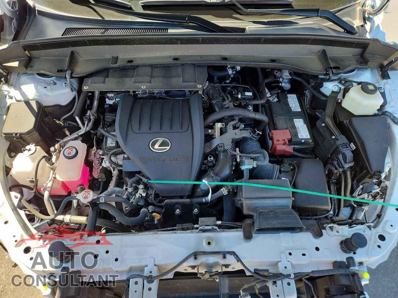 LEXUS UNKNOWN 2024 - 5TDAAAB60RS019683