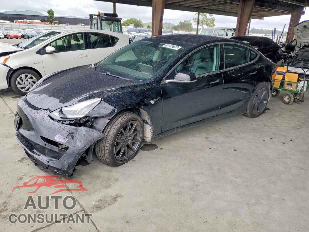 TESLA MODEL 3 2019 - 5YJ3E1EA0KF397641