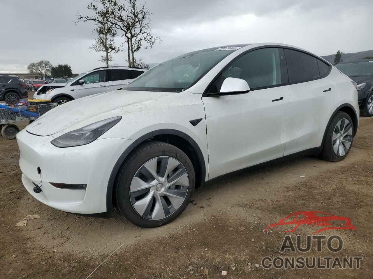 TESLA MODEL Y 2024 - 7SAYGDEE5RF075756