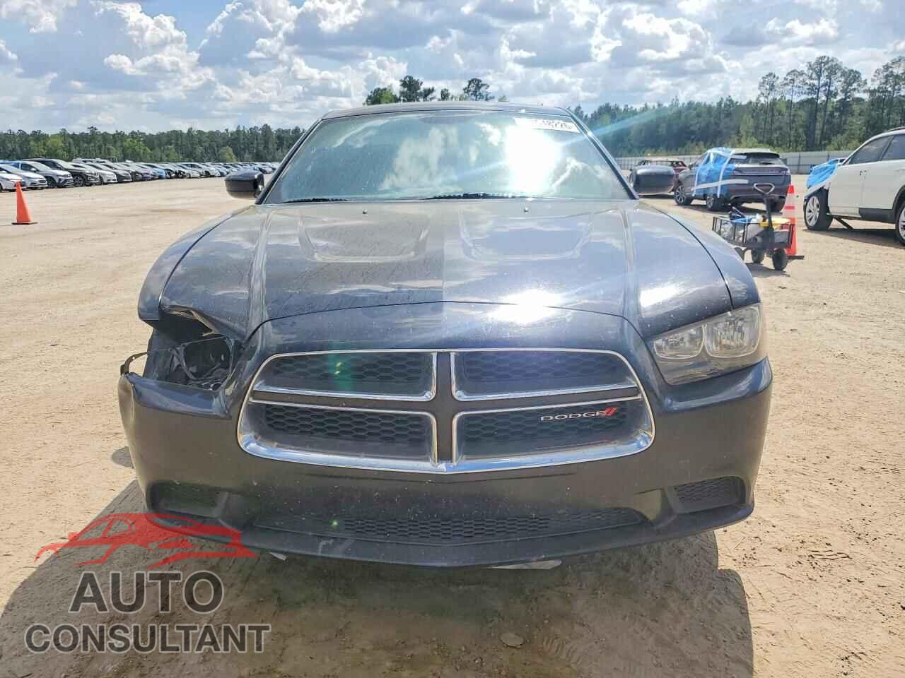 DODGE CHARGER 2014 - 2C3CDXBG0EH342608