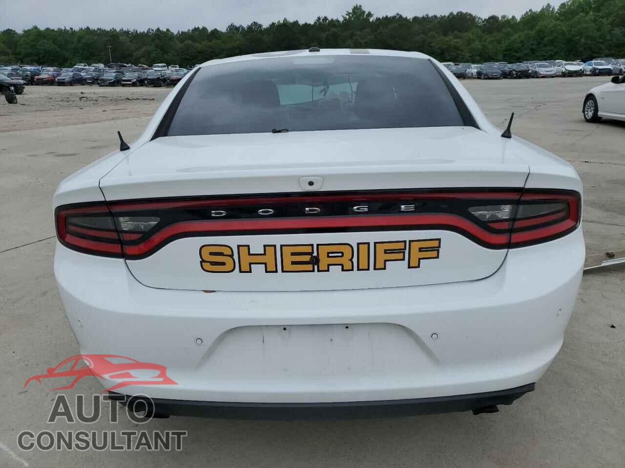 DODGE CHARGER 2021 - 2C3CDXAT8MH523100
