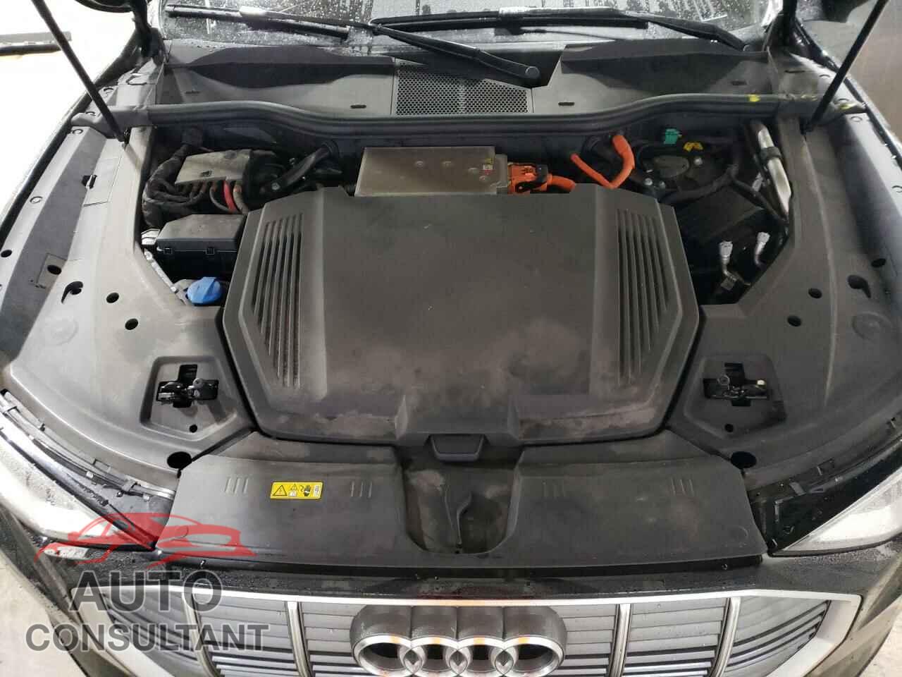 AUDI E-TRON 2019 - WA1VAAGE1KB024433